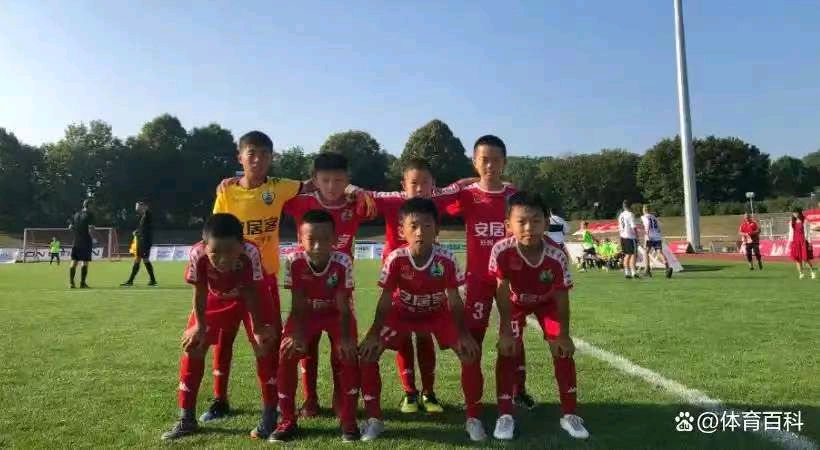 七律《赞少年足球夺冠》（外一首）文/潘毅（图10）