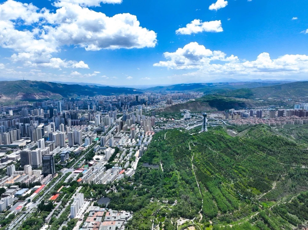 六月怀想_文/赵正霞_京津沪头条（图3）