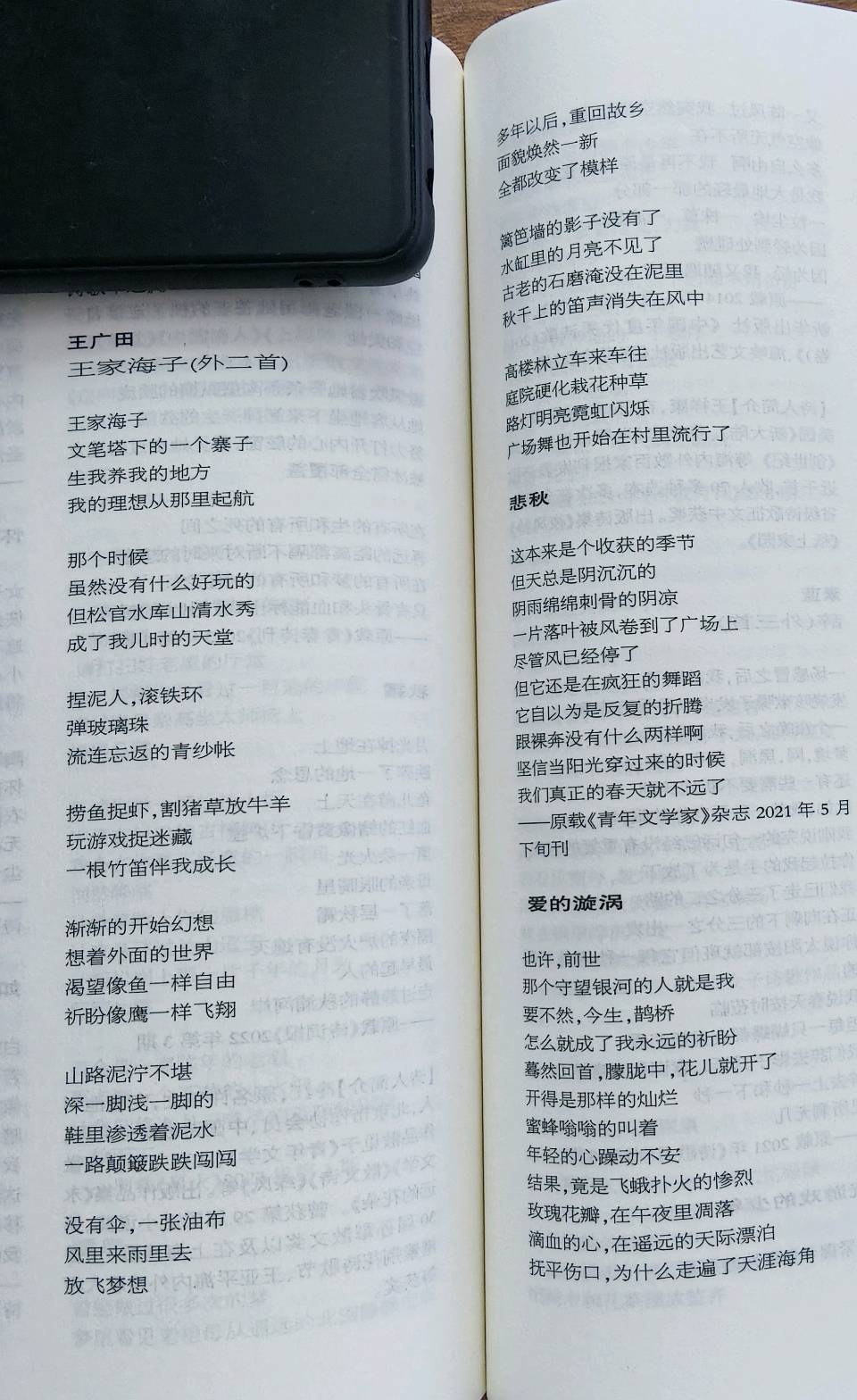 王广田:新诗《两条小狗》载《赤子乡土诗人》2026年第3期,存谢!(图45)