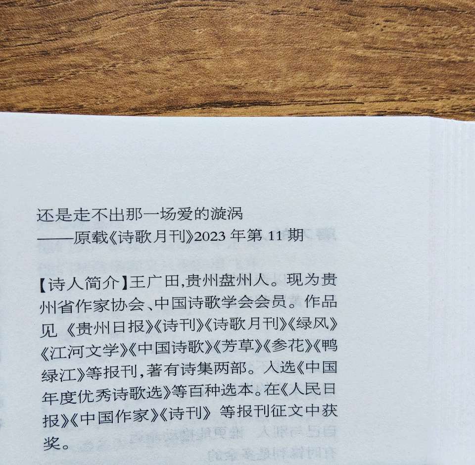 王广田:新诗《两条小狗》载《赤子乡土诗人》2026年第3期,存谢!(图46)
