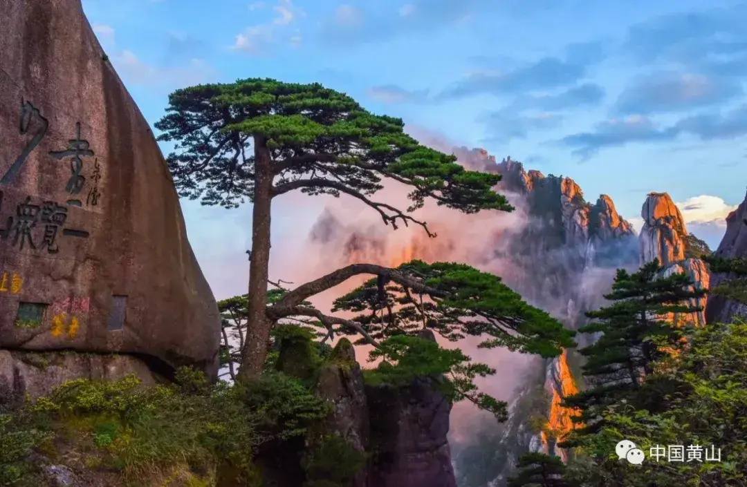 25 25