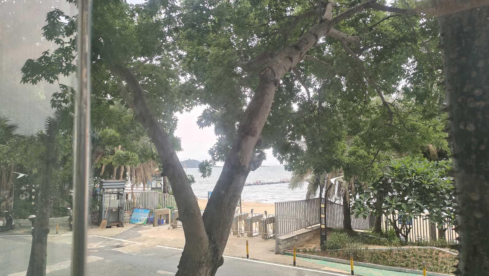西西:同窗之谊深似海