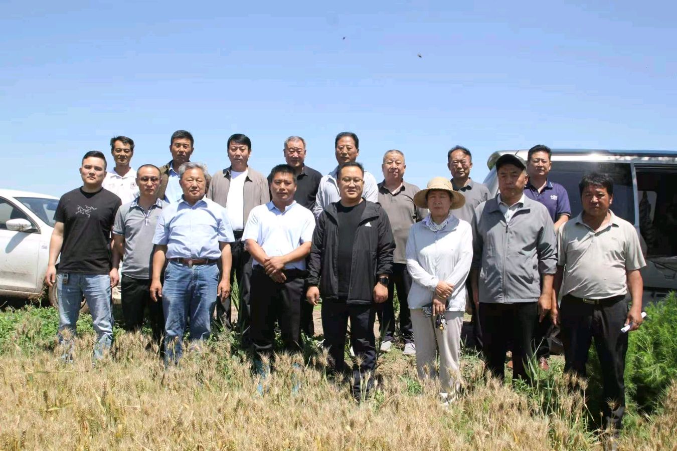 恋土欢歌——无棣源赫农场行纪