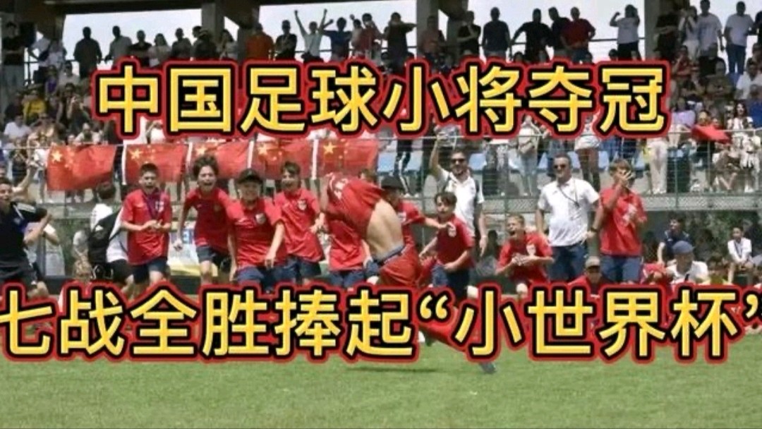 《九江文学社：北京头条》热烈祝贺中国足球小将欧洲夺冠（图6）