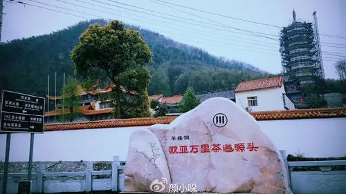 【九月茶韵文学诗社】2026—034期《懂你 我的梦里情人》作者/任四维 主播/友友 编辑制作/刘林丽（图4）