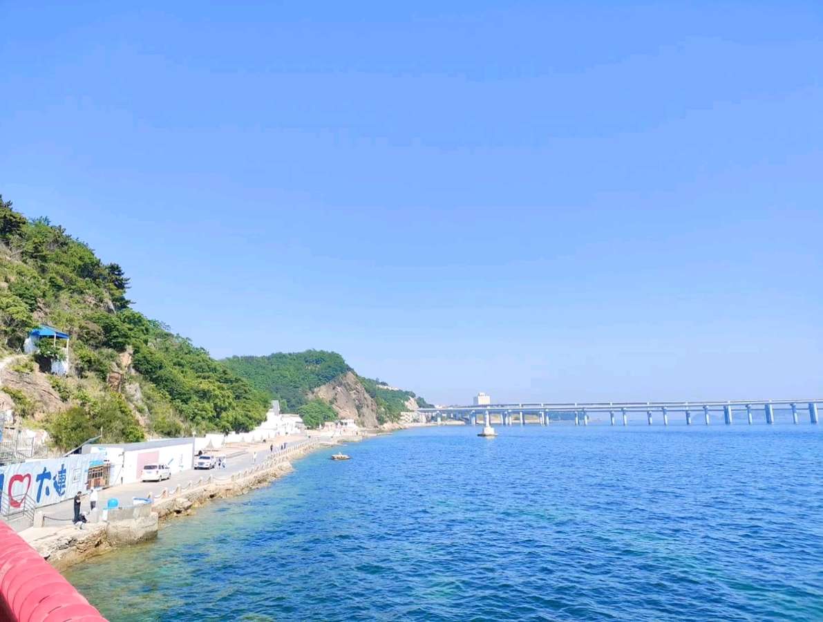 聆听 ‖ 跨越极地朗诵《向人体致敬 矢车菊霸王鞭&89》作者/王鹏博（图5）