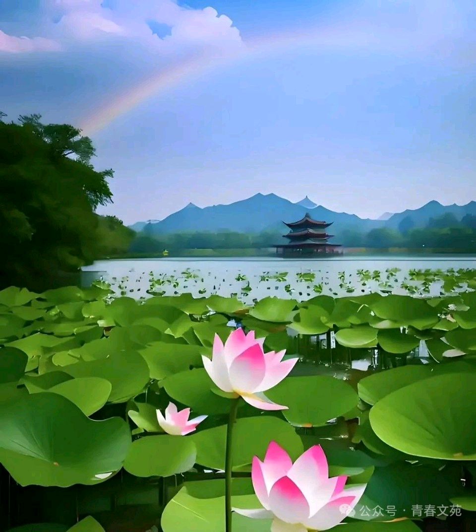 萧锦良歌词专辑第282期（图5）