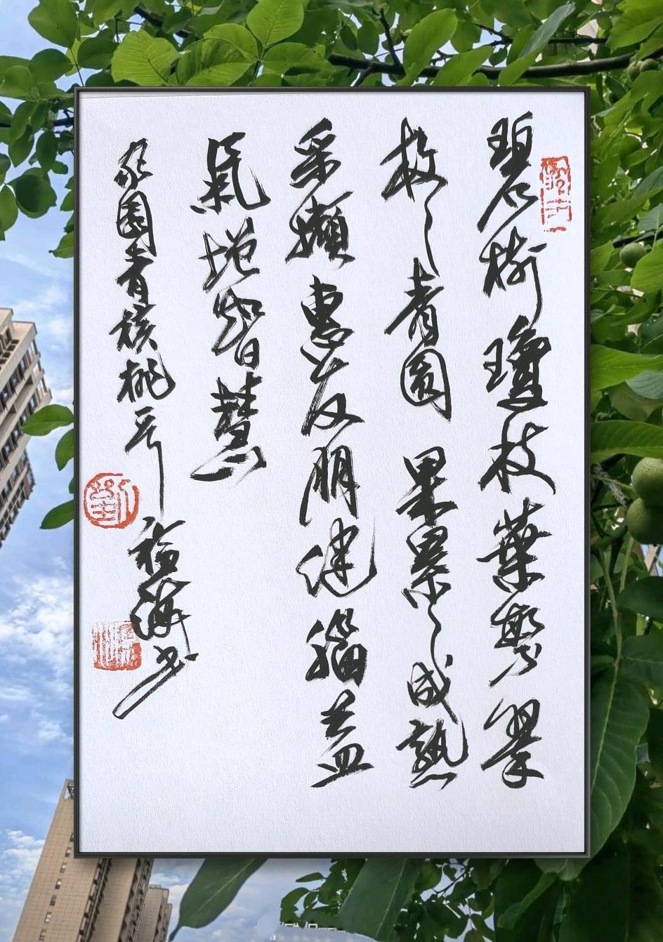 青青核桃果