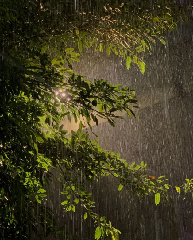 七律•夏夜雷雨 作者:王省南（浙江杭州）（图2）