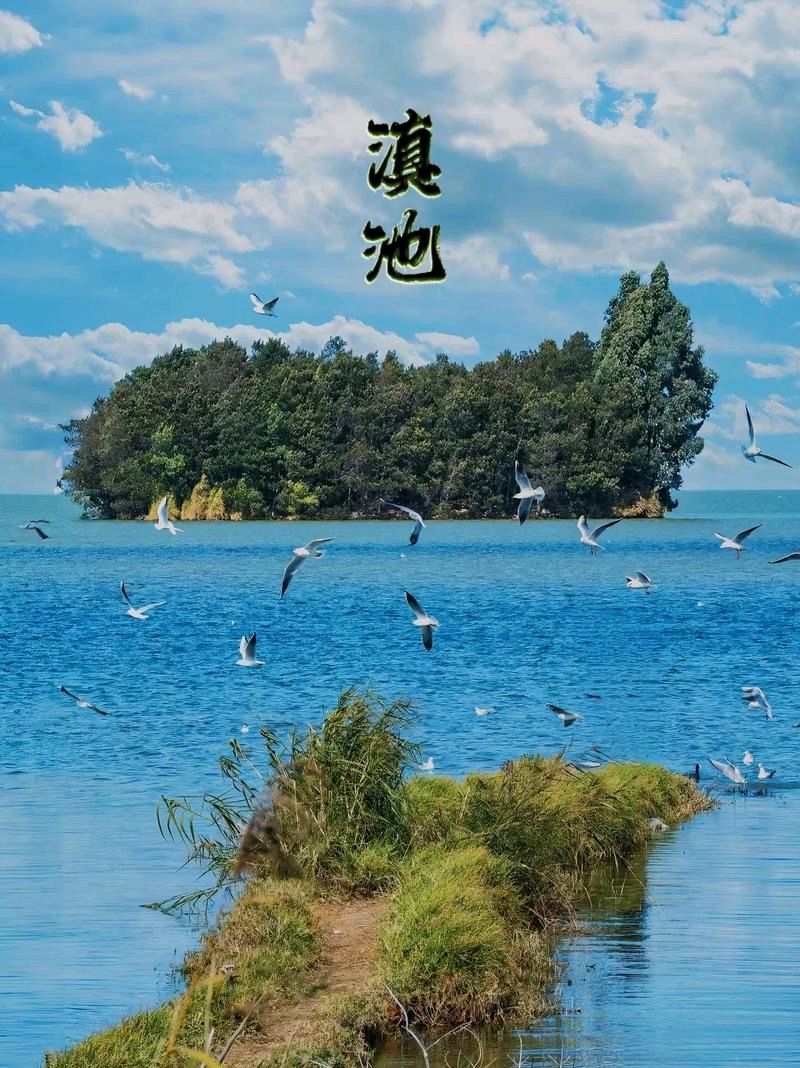 五律：游览滇池随记——文/贾志义——内蒙古诗人