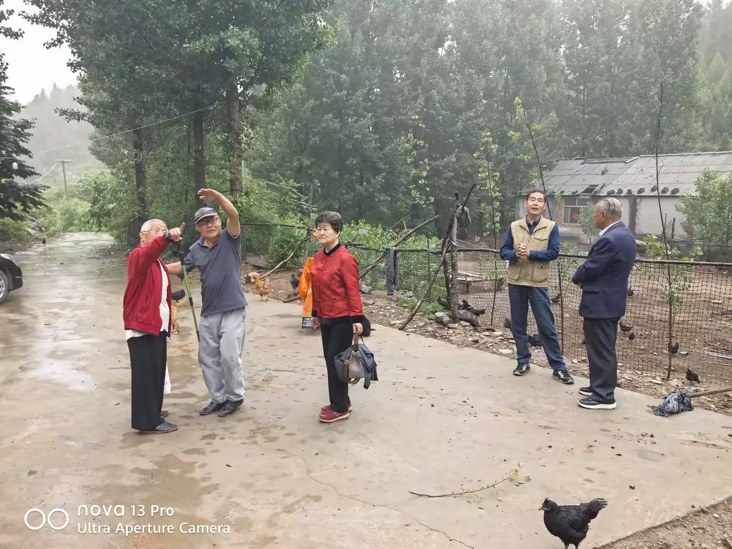 简篇-访友穿山雨 谈诗入翠林