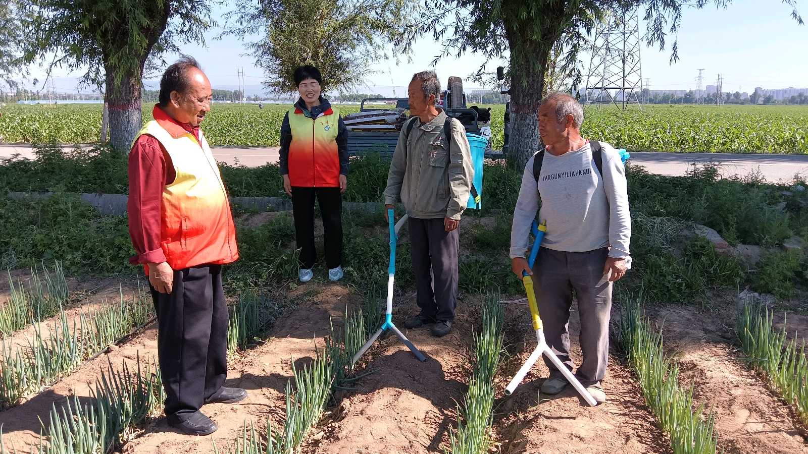 田间调研察农情 志愿助农解困忧（图4）