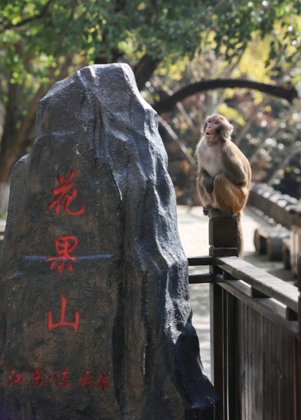 廖公携友游花果山/作者：王秀北（图5）