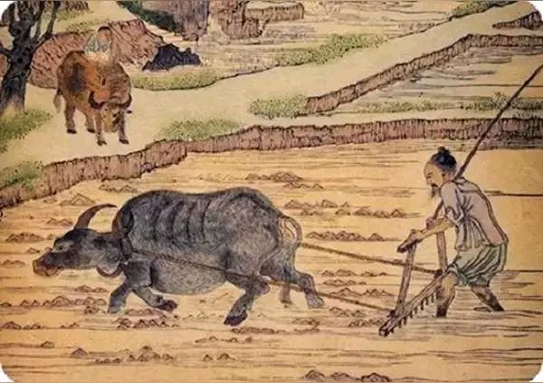 【昊昊海峽新幹線副刊】若能與君耕田地（作者 : 昊昊/中國臺灣）……莲叶之珠文学社（图3）