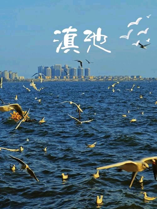 《七绝：咏滇池》文/梁兆智——山东诗人（图2）