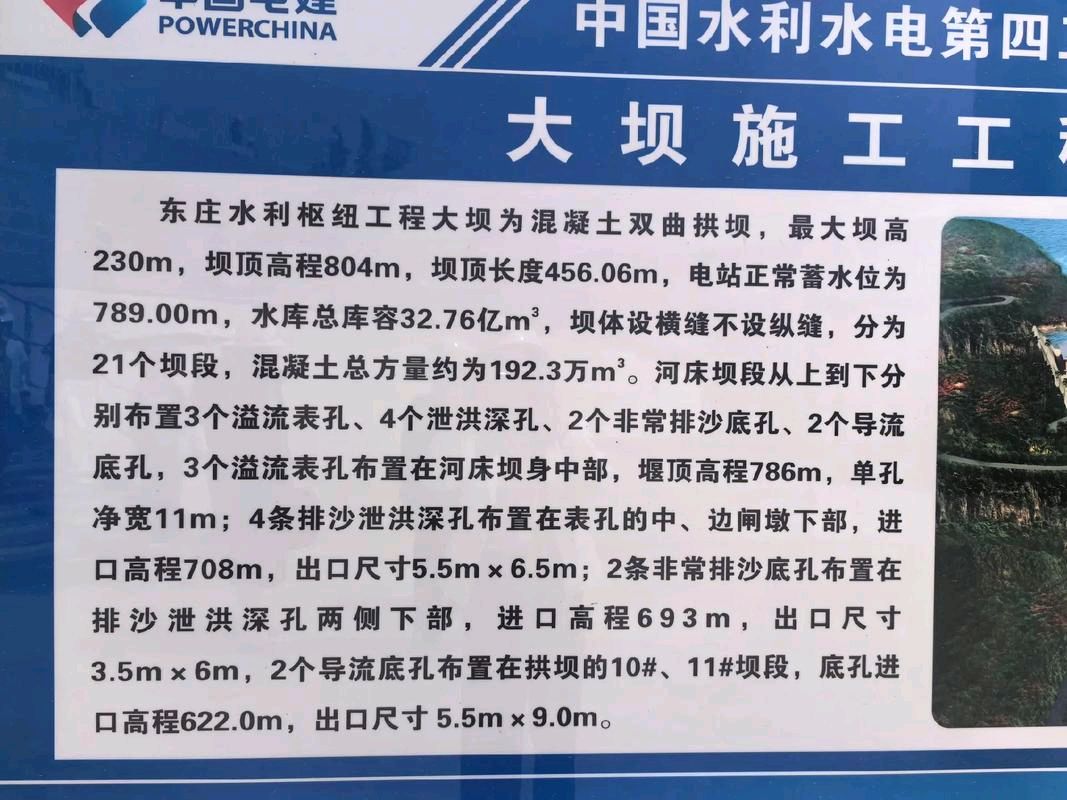 陕西作家相炜宁《东庄水库》（图6）