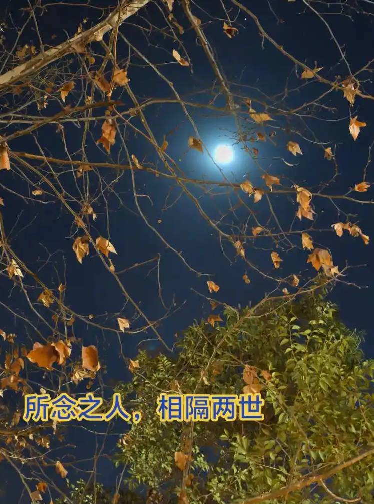 【九月茶韵文学诗社】2026—035期《望着月亮，就想起了您》作者/周峰 主播/小丽花 编辑制作/刘林丽（图7）