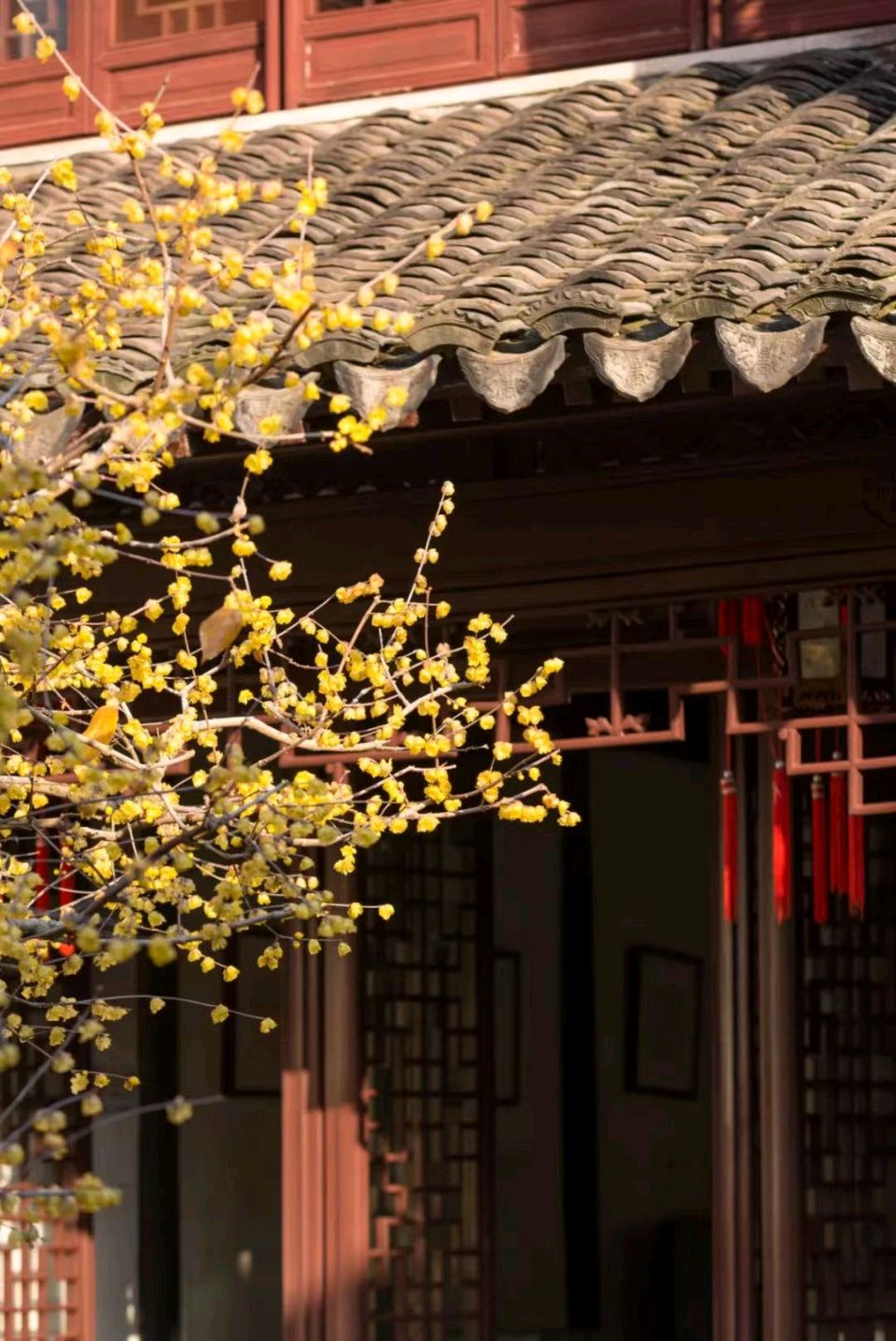 其他(四)，夕阳从来不是诗和远方（图6）