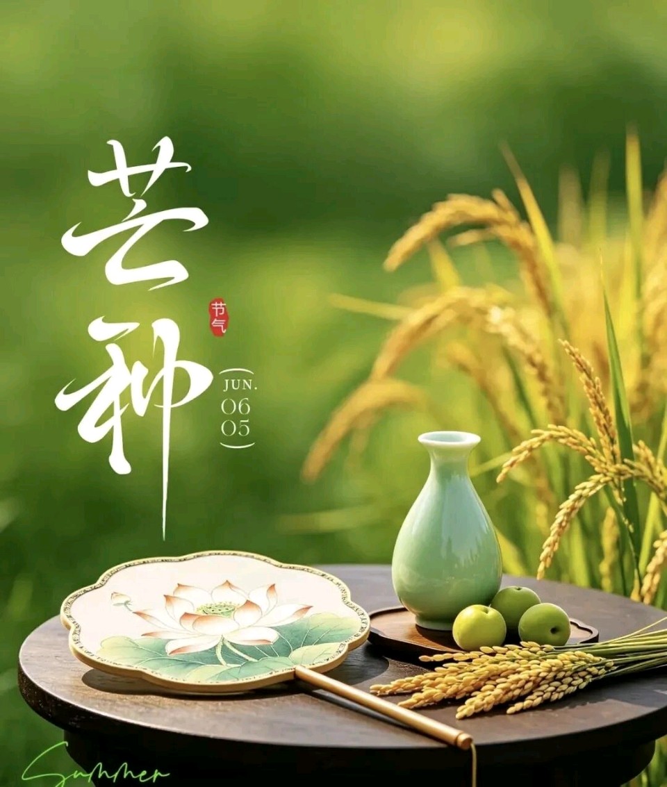 绝句三首/作者：静水流深（图4）