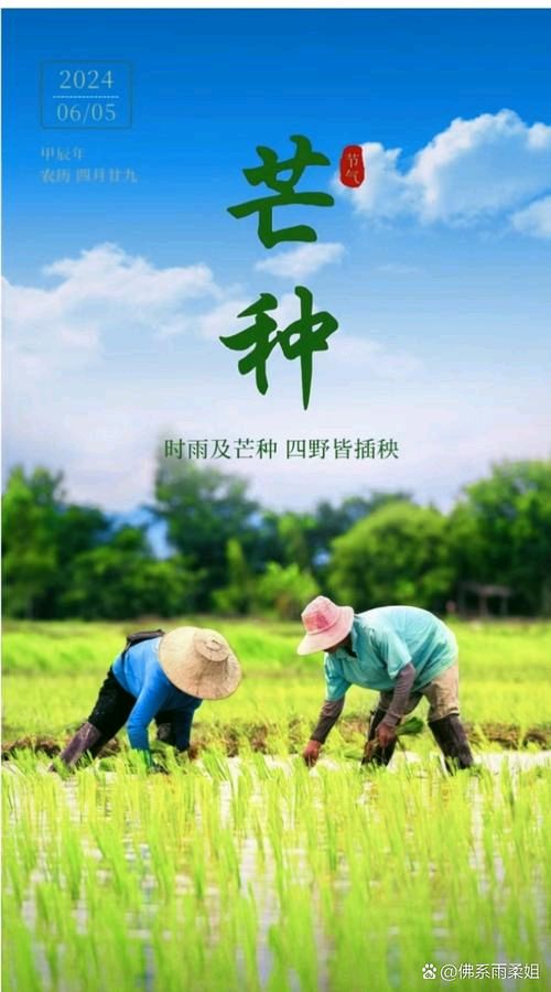 【经典推荐】“农民诗人”曹南强//江城子•寄高考学子“系列作品展”八首（图8）