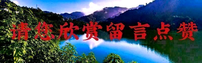 【重磅推出】张燕良//虞美人•看人生[外一首]（图10）