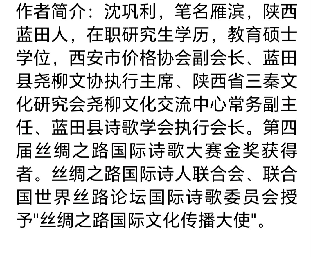 雁滨//灿若群星（散文）（图2）