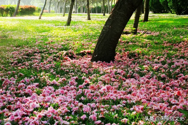 宋词中两首极为精美的《蝶恋花》,柔美婉约,深情缠绵,魅力无穷