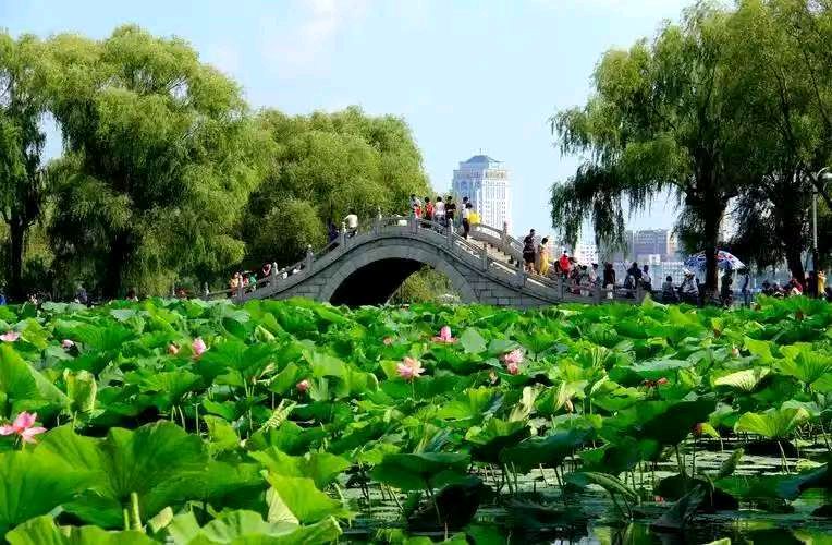 【北京头条】阙维中诗歌专辑032期(图9)