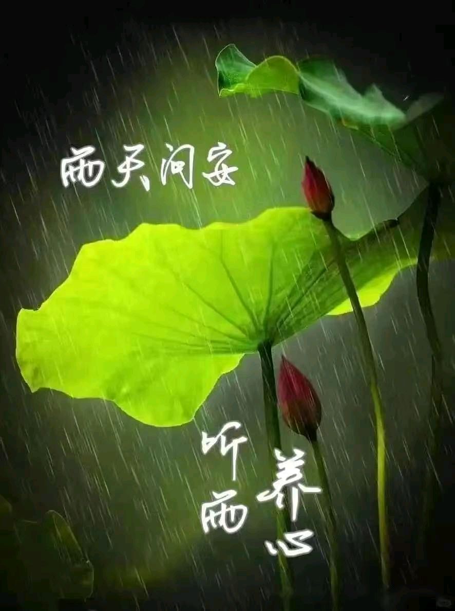 巴山夜雨·巴浩洁‖①《 自安》②《赏析——施幸荣〈埠算子〉五首》③《端午节感怀二首》‖北京头条版032期（图8）