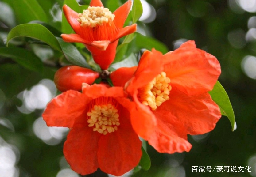 夏日诗词曲三首/张昕（图7）