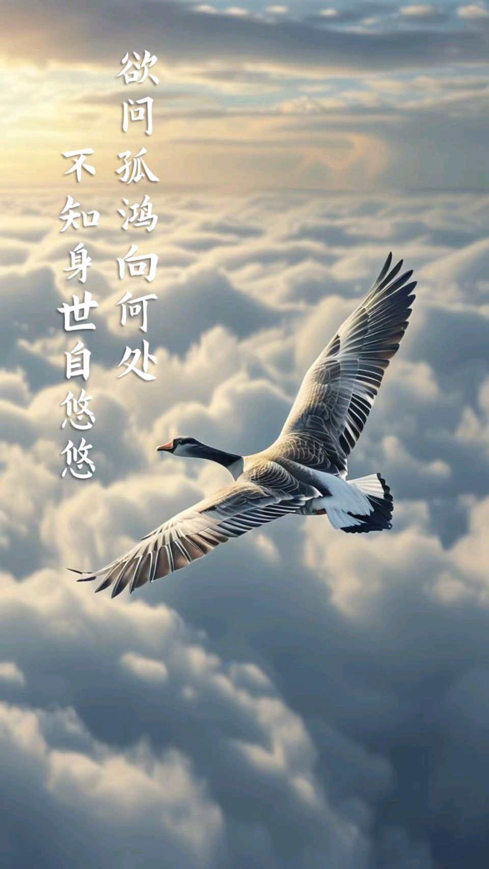 【北京头条】爱家心静诗歌专辑025期（图3）