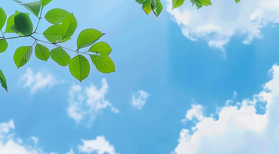 微信图片_20260620221435_2259_11 微信图片_20260620221435_2259_11