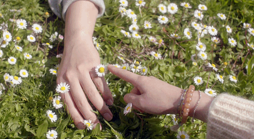 images/2/2021/10/U51ZmFrme9w0KMZW03GeWKp3mMg55E.gif