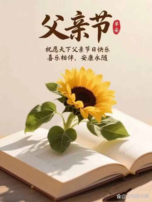 《致爸爸》文/王巧英——内蒙古诗人（图2）