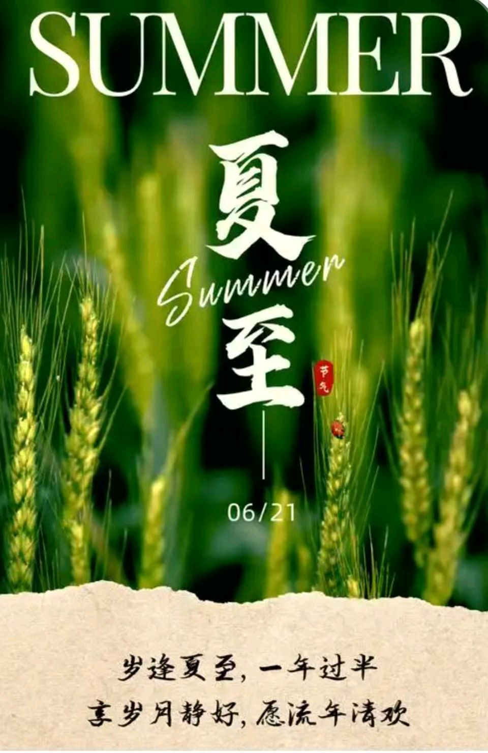 【荣耀中国】文学社*鹧鸪天·夏至文/钟向严（图4）