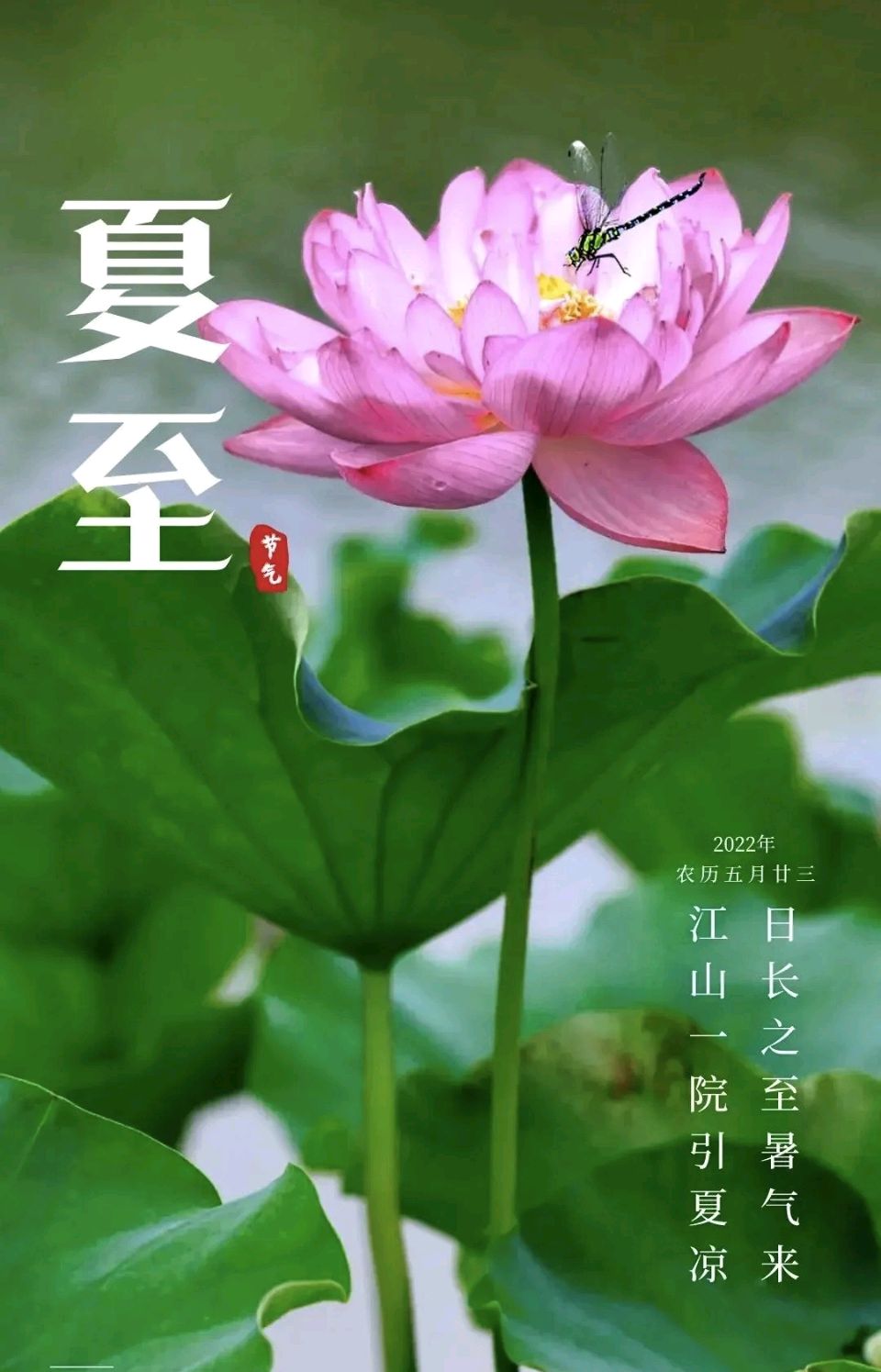 诗人刘凤亭《夏至诗词十二咏》/中华诗艺社黑龙江分社推荐【2026第250期】（图5）