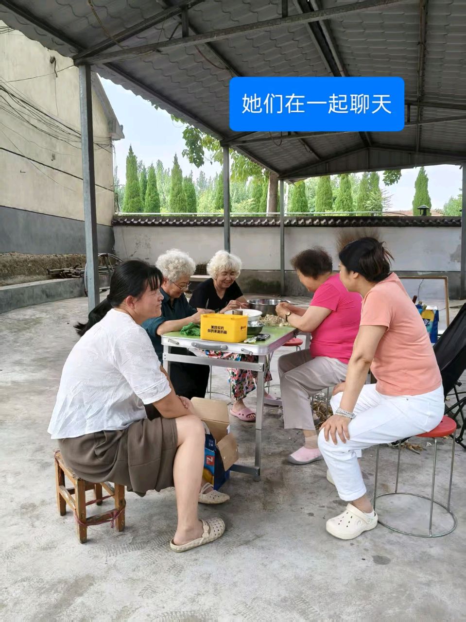 新诗//我要夸夸李改琴~写在和爱山东康养基地 作者//刘玉伟（图8）