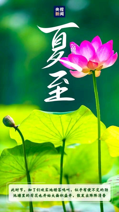 【荣耀中国】文学社*鹧鸪天·夏至文/钟向严（图2）