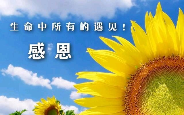 聆听 ‖ 蓝野朗诵《父亲‖父亲节撞上夏至‖夏至》作者/张光彩（图7）