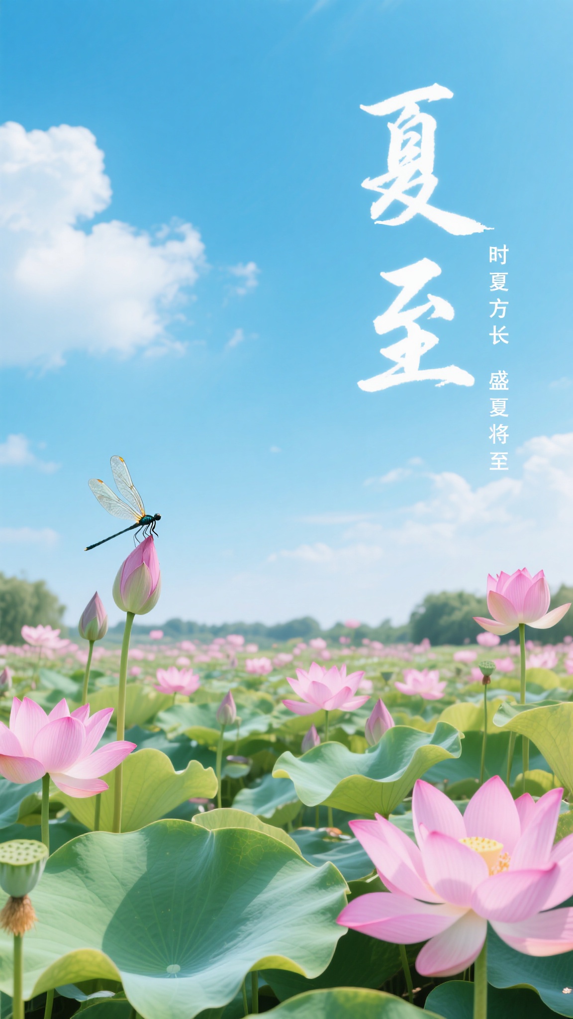 夏至海报免费AI文生图_海报设计AI出图素材_红动中国
