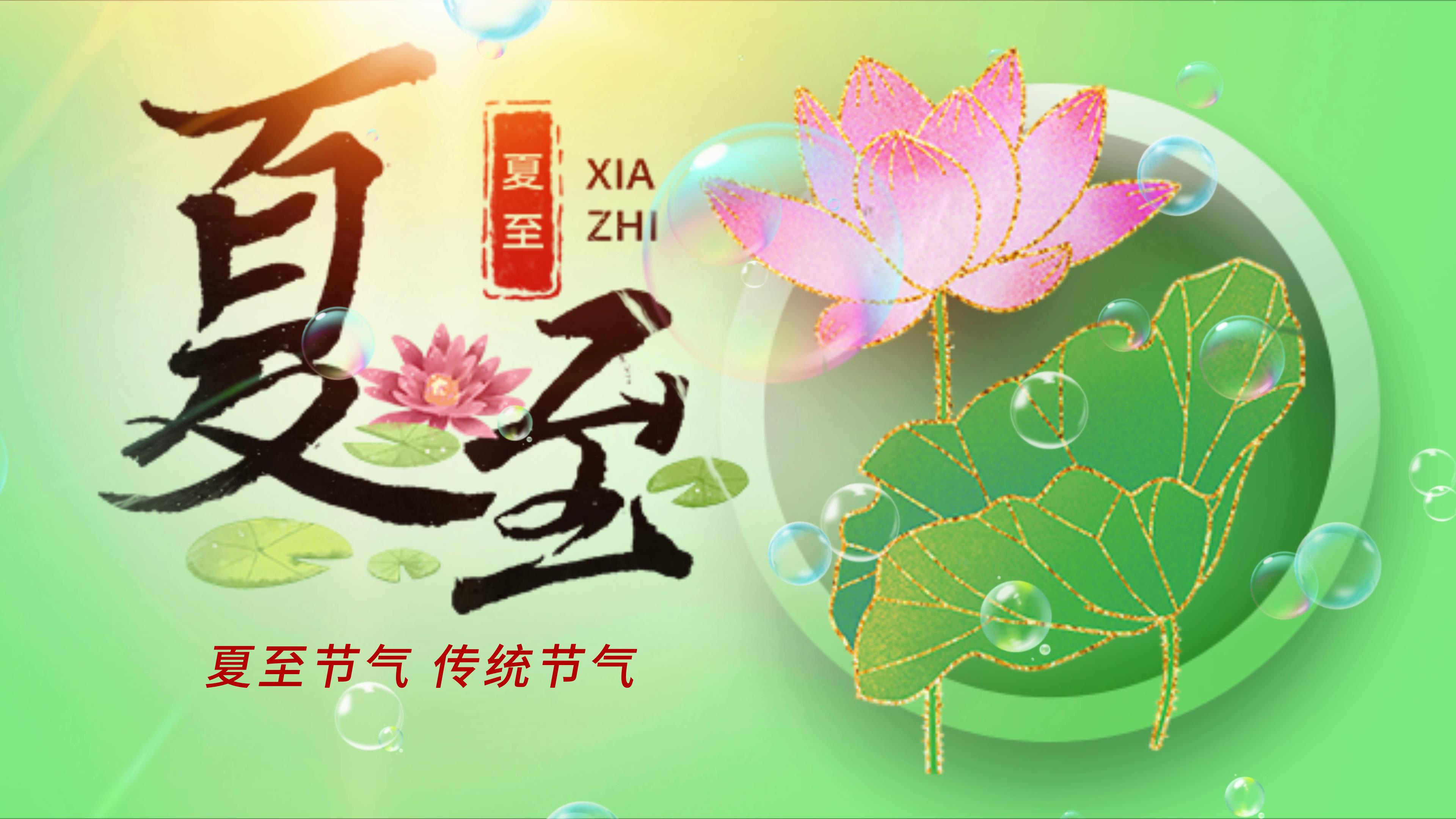 二十四节气花海夏至节气视频模板视频模板-编辑模板编号133040-摄图云编辑