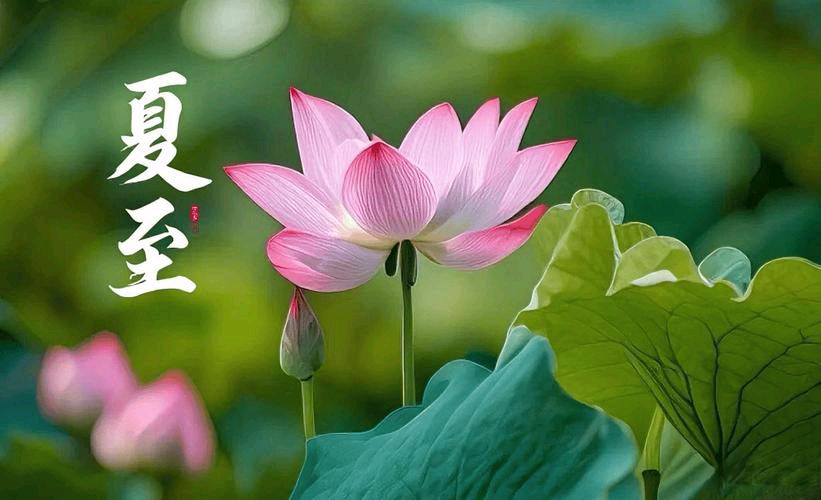 【散文】《长昼藏天地 一至阅千年——夏至的源流与人文深意》作者: 强军/陕西宝鸡