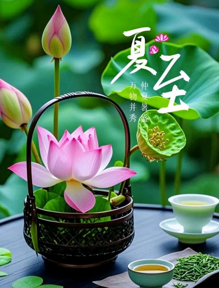 【散文】《长昼藏天地 一至阅千年——夏至的源流与人文深意》作者: 强军/陕西宝鸡（图4）