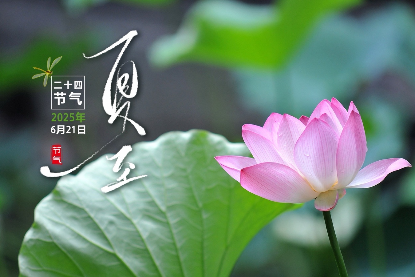 【新诗大观】中考（二首）||文/张道发（图3）