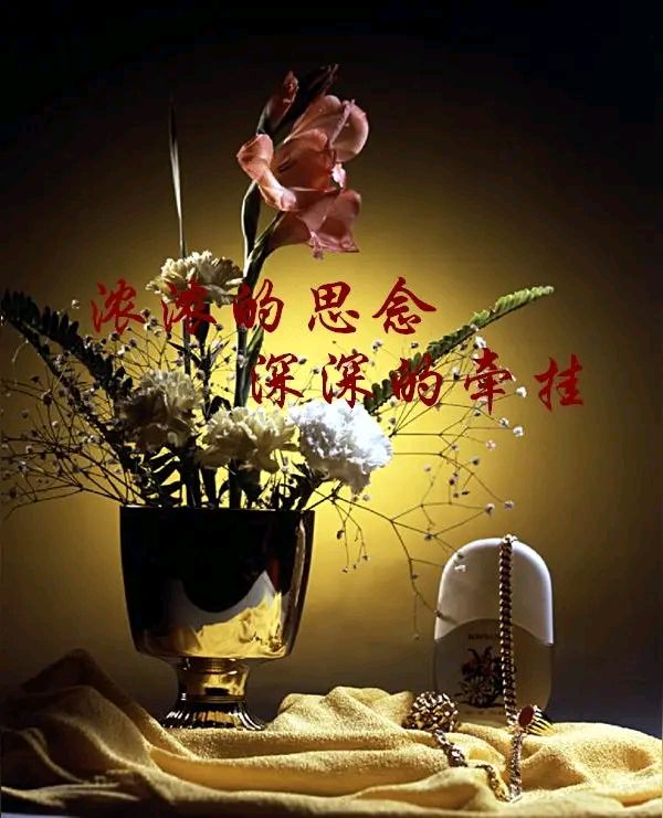 【昊昊海峽新幹線副刊】夏風裡的思念是暖暖的（作者 : 昊昊/中國臺灣）……莲叶之珠文学社（图3）