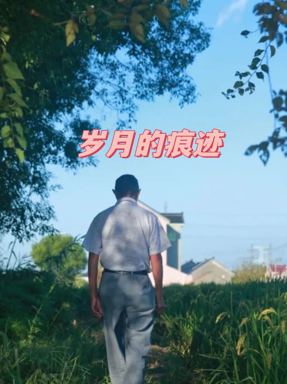 《那年高考》实力诗人/黄赞高、金牌主播/凤珠。（图6）