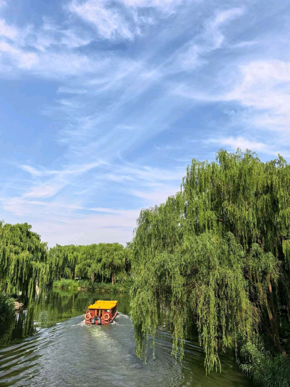 明湖夏之韵（图3）