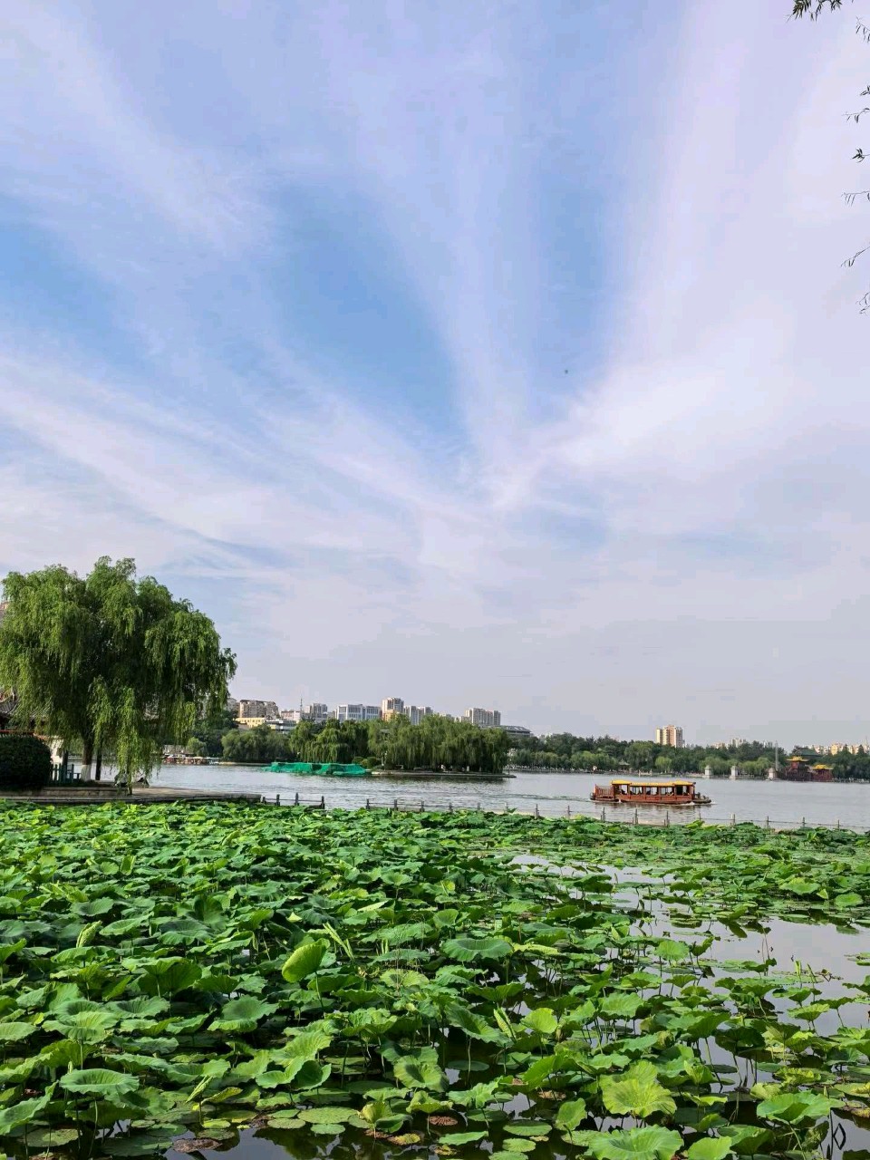 明湖夏之韵（图5）