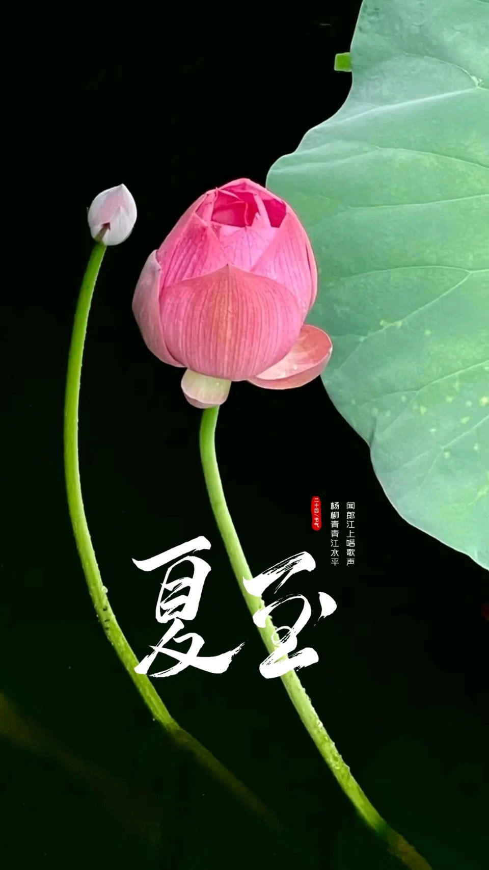 罗马假日（廖庆玉）导师精彩近作暨被书法家们纷纷拨墨挥毫的诗词作品与君共赏（图14）