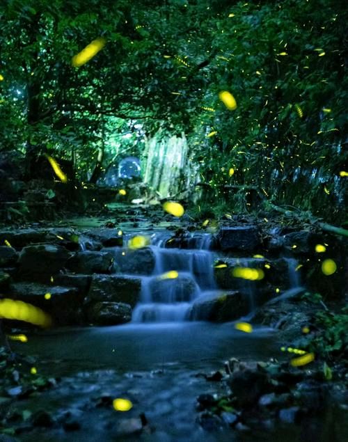 湖北作者·‖①湖北·刘田喜《山野流萤记》散文②巴山夜雨·巴浩洁品读后感《萤落青山夜·一境慰人引来》‖北京头条版036期（图4）